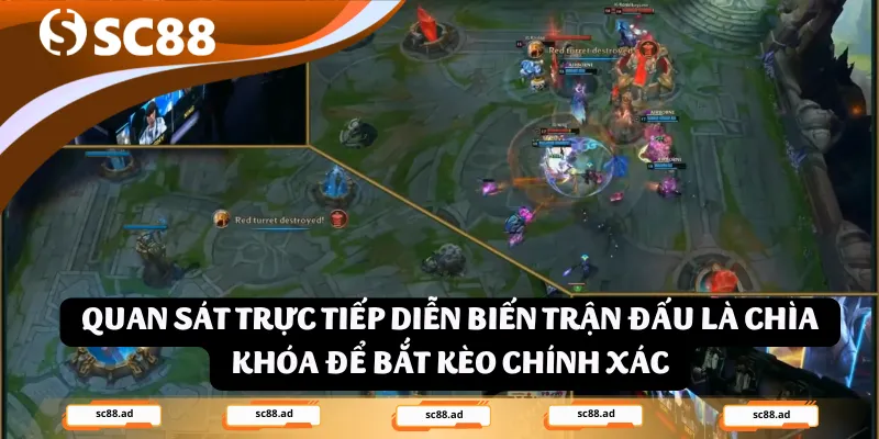 Quan sát trực tiếp diễn biến trận đấu là chìa khóa để bắt kèo chính xác