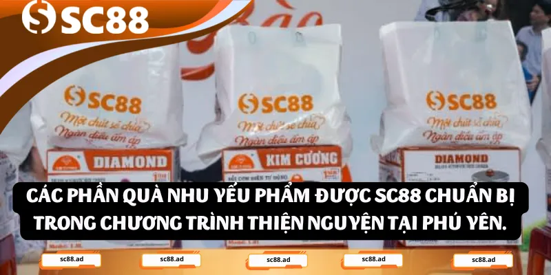 Các phần quà nhu yếu phẩm được SC88 chuẩn bị trong chương trình thiện nguyện tại Phú Yên.
